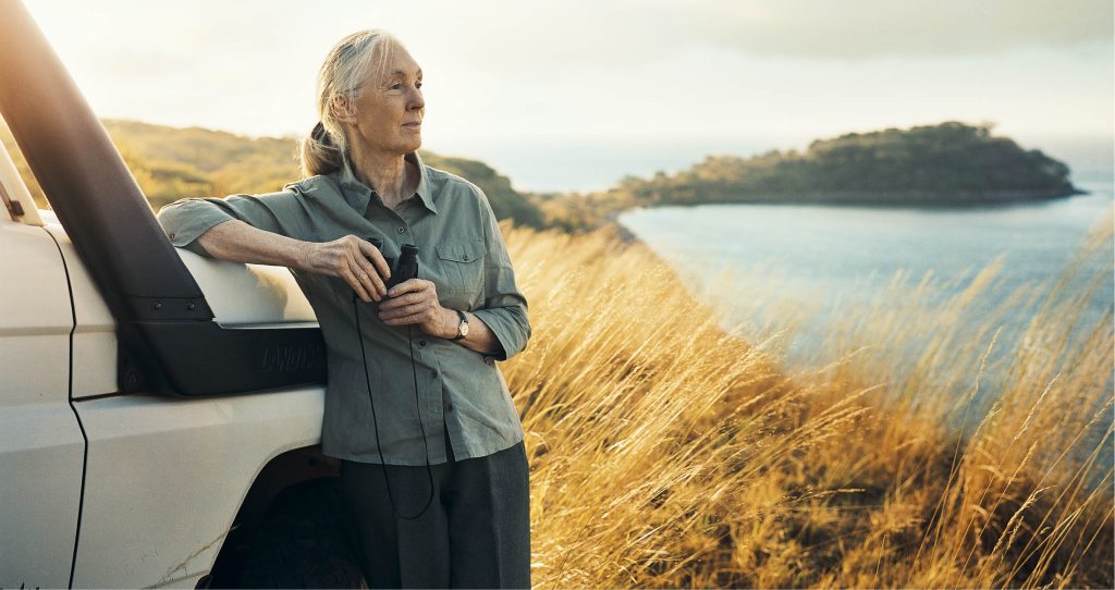 Jane Goodall