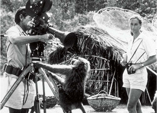 Jane Goodall