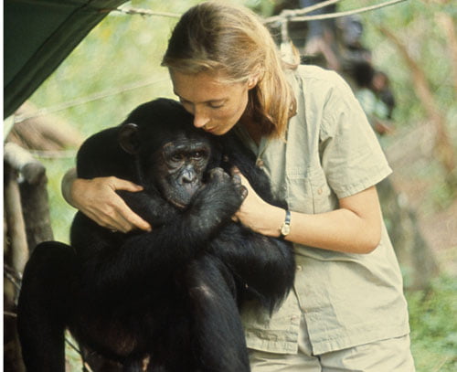 Jane Goodall