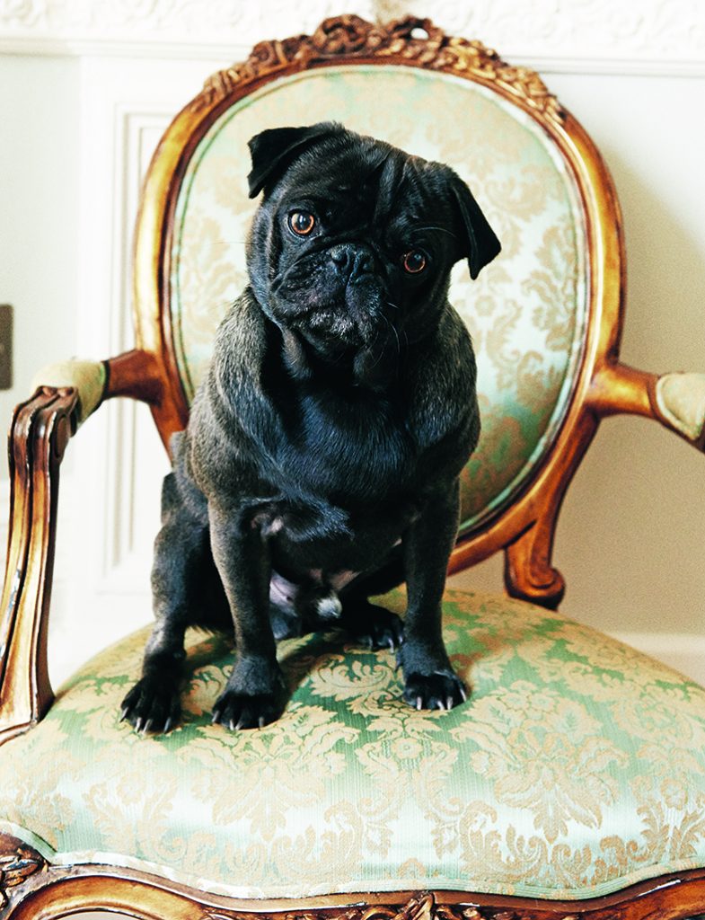 Edgar