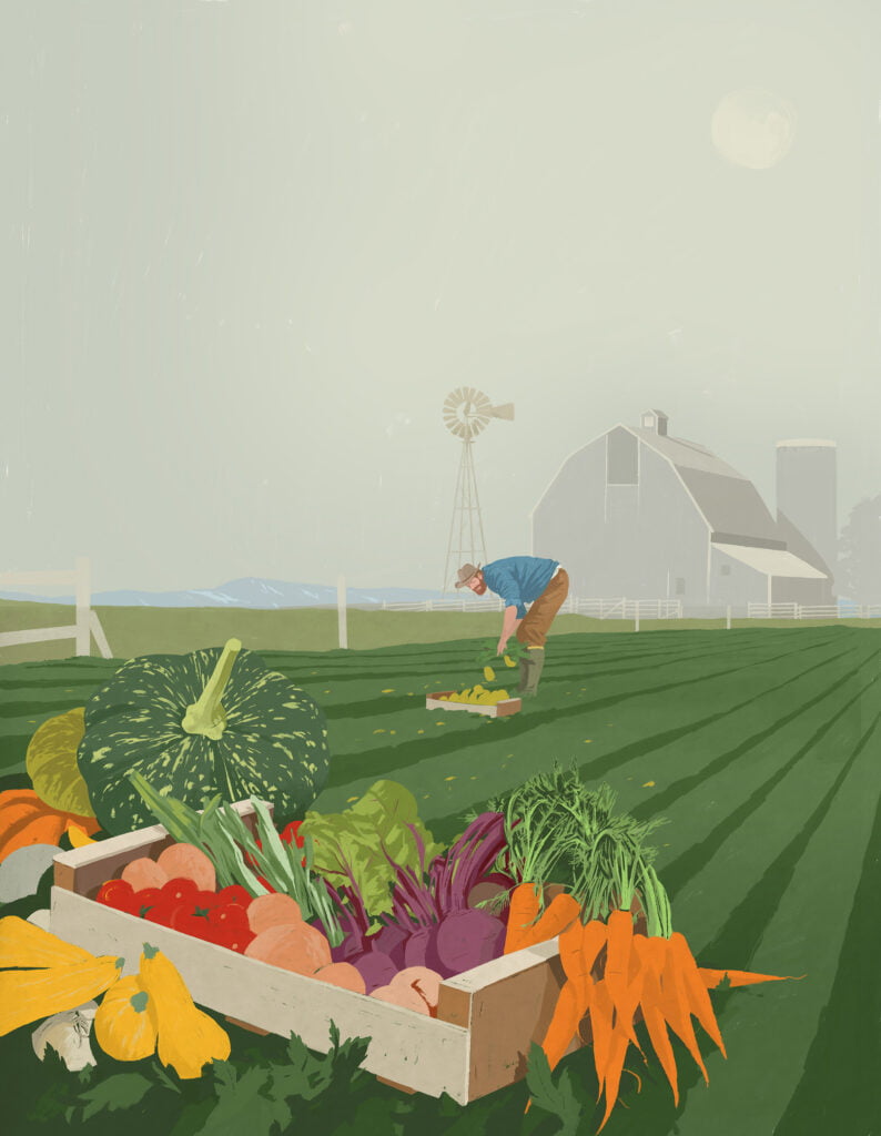 F&auml;rgglad illustration p&aring; en bonde som samlar olika gr&ouml;nsaker i en korg.