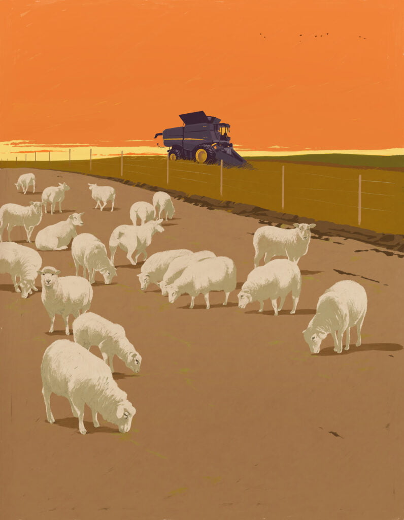 F&auml;rgglad illustration p&aring; f&aring;r i solnedg&aring;ng med en traktor i bakgrunden.