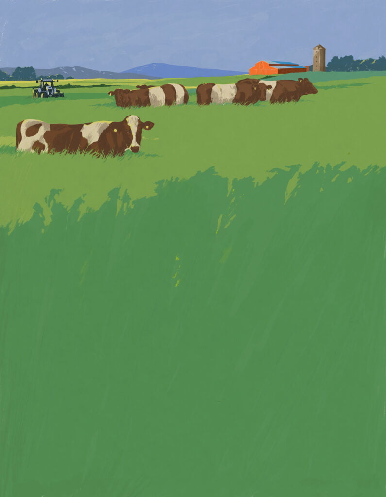 F&auml;rgglad illustration kor med en lada och traktor i bakgrund.