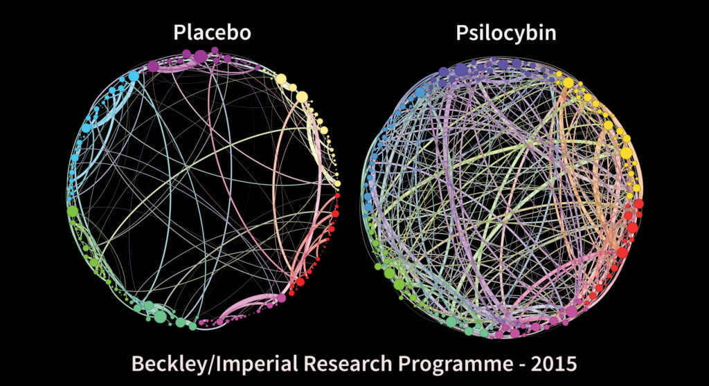 Hjärnscanningar visar att det psykedeliska ämnet psilocybin får tidigare isolerade delar av hjärnan att börja kommunicera med varandra.