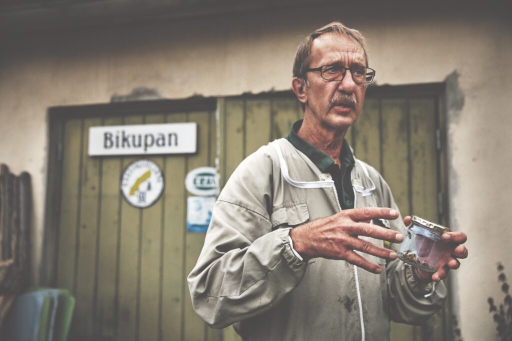 På den ekologiska bigården samlar bina nektar från närliggande ängar, skogsmark och trädgårdar.